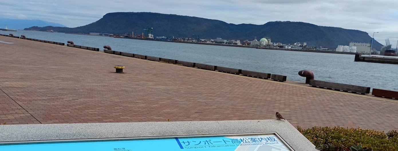 すずめ 高松市サンポート高松2月撮影