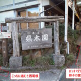 屋島山上から西尾根展望台にいくよ