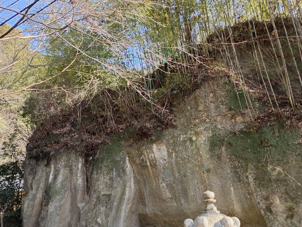 亀の子岩の甲羅部分